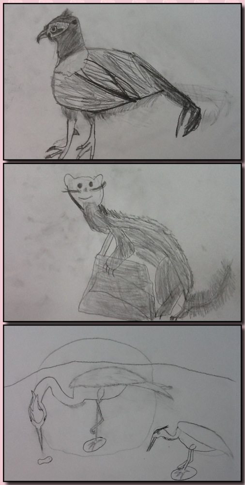 Tegning Rype Dyretegninger - FruBilledkunst
